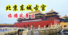嗯～骚b中国北京-东城古宫旅游风景区